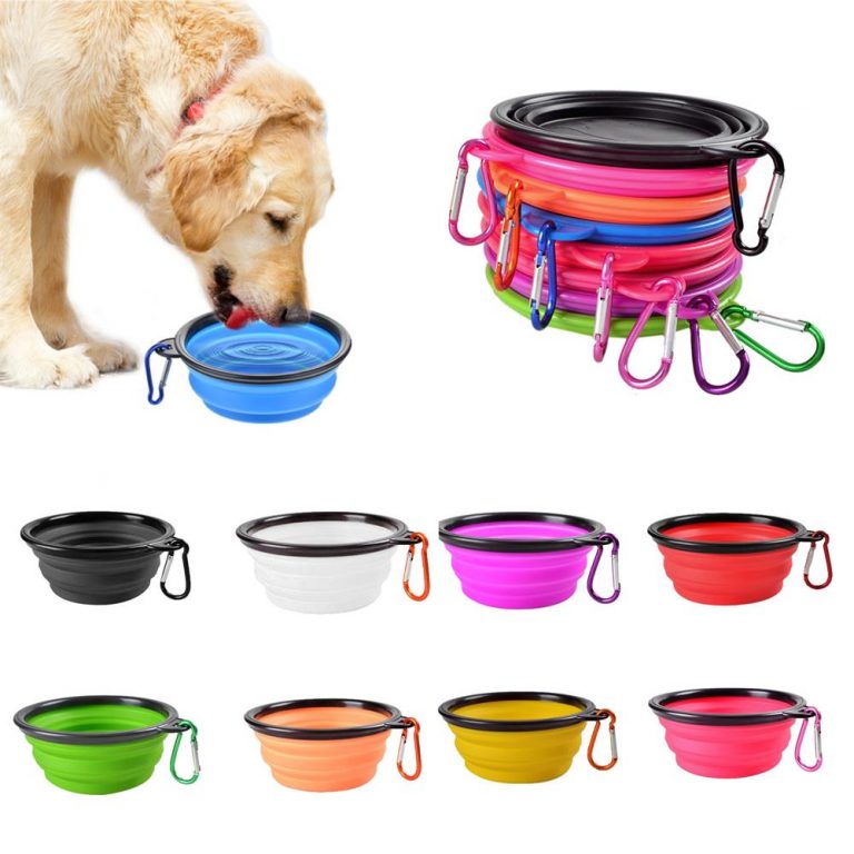 collapsible travel dog bowl reviews